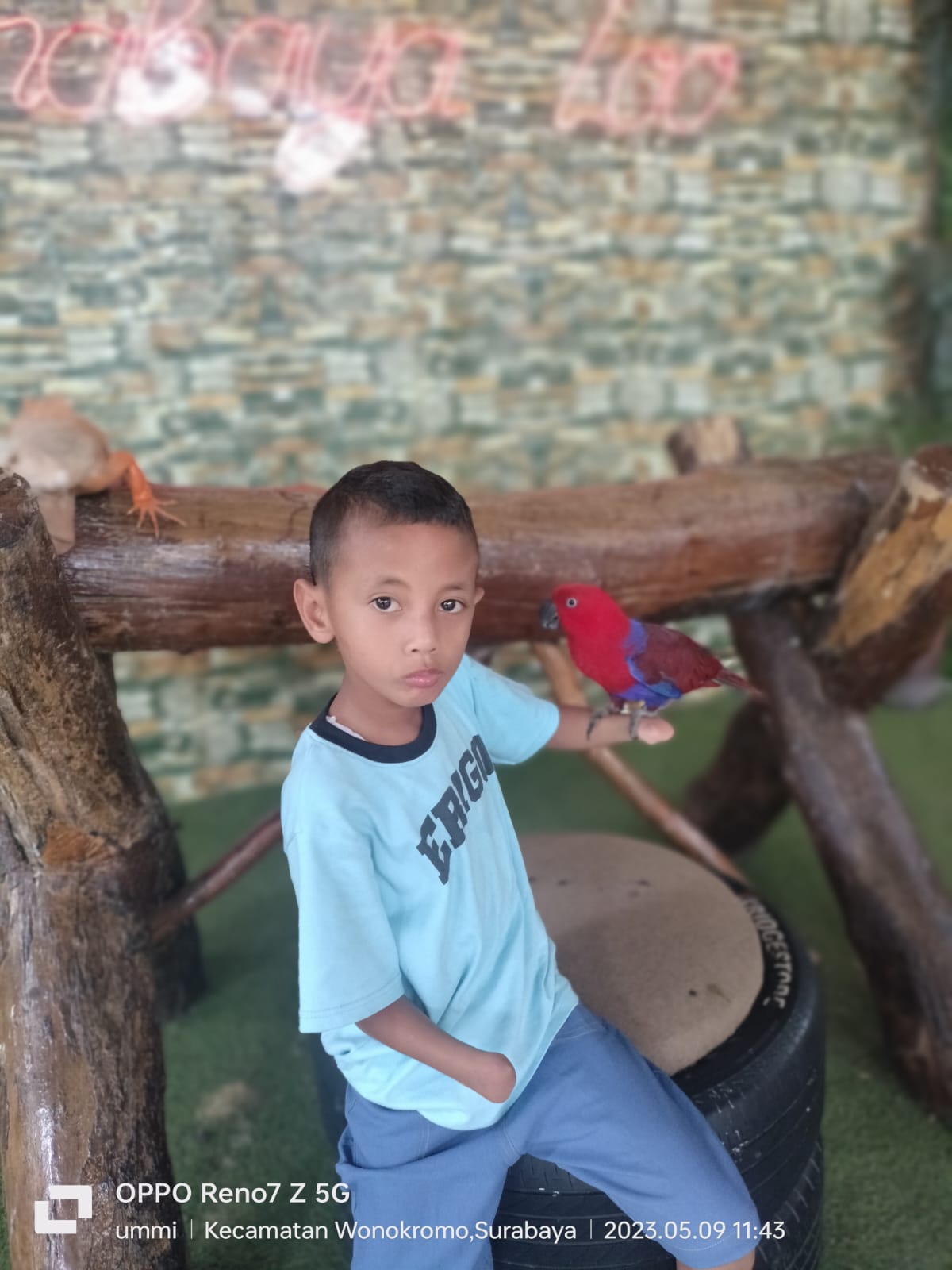 Walimatul Khitan Mamat